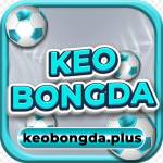 keobongdaplus Profile Picture