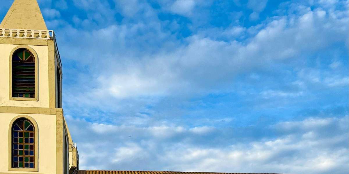 Reliable Roofing Services in Calgary: A Homeowner’s Guide to Protection and Value