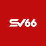 SV66 marketing Profile Picture