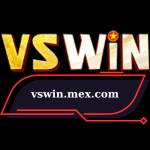 Vswin Profile Picture