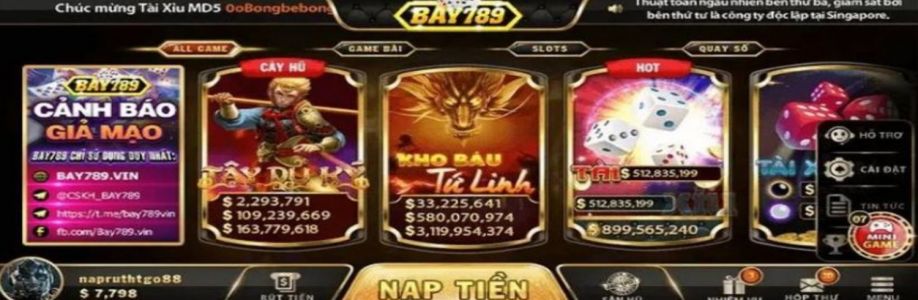 BAY789 Cover Image
