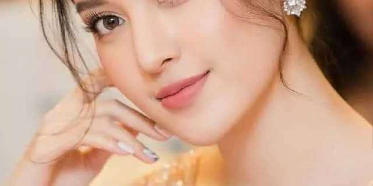 Understanding the Call Girl Industry in Delhi: A Comprehensive Overview