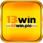 13winpics Profile Picture