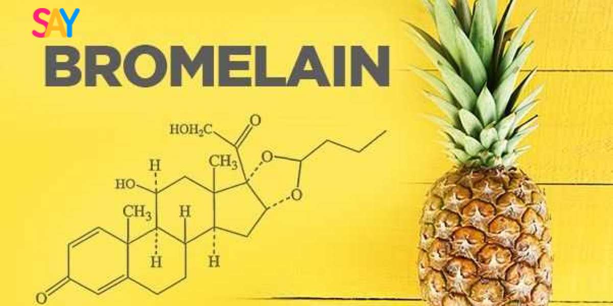 Bromelain Market 2031: Analysis, Segmentation, and Growth