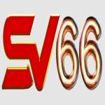 sv66vk com Profile Picture