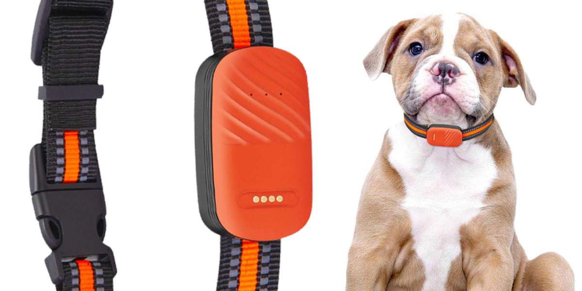 How Pawtechpet Pet Tracker Secures Your Pet's Freedom?