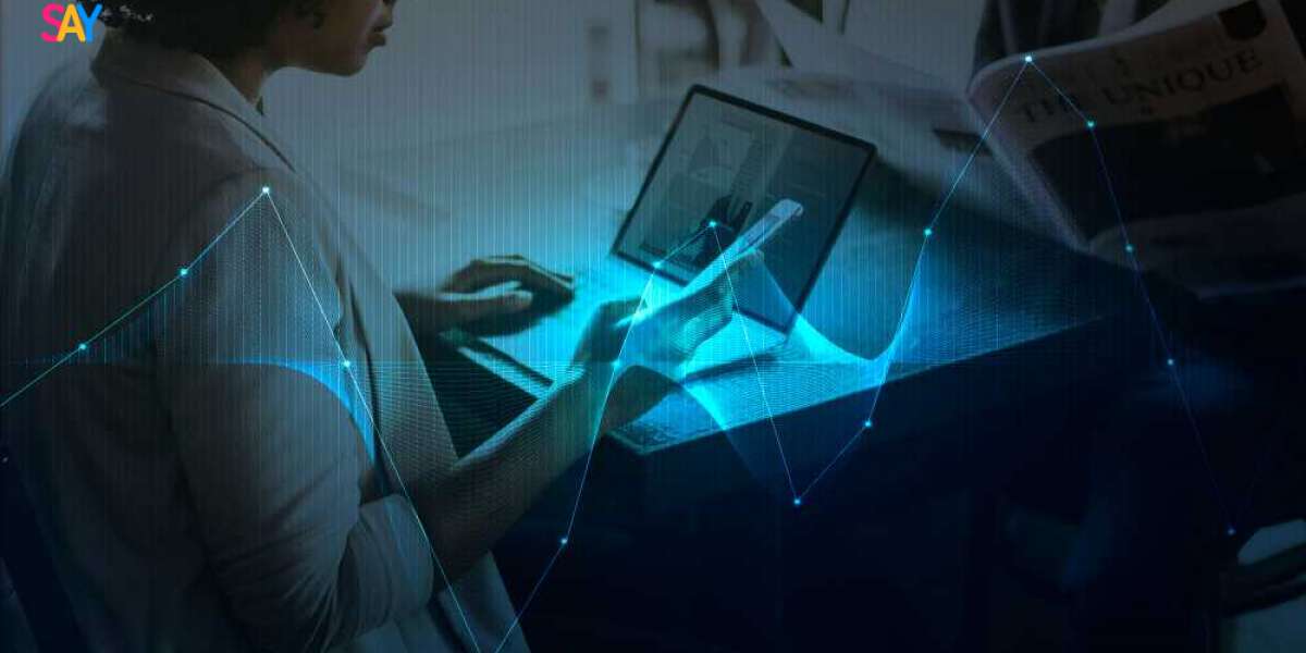 Vietnam Software Market Size, Share, Growth, Trends and Forecast 2025-2033